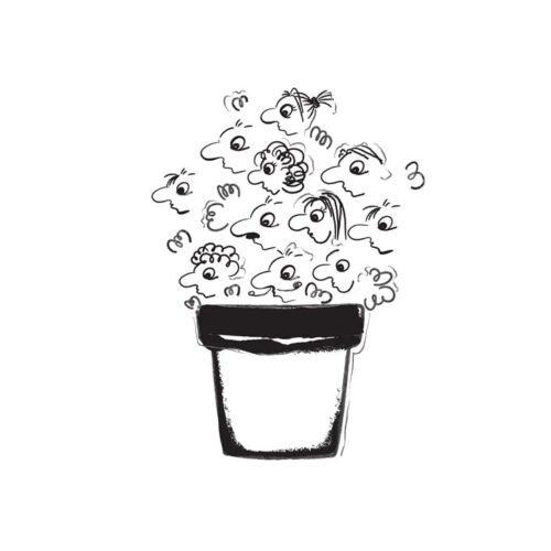 Hand Crafted (B2B) Leads