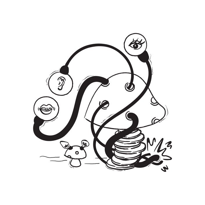 500 Hyper Targeted (B2C) Leads